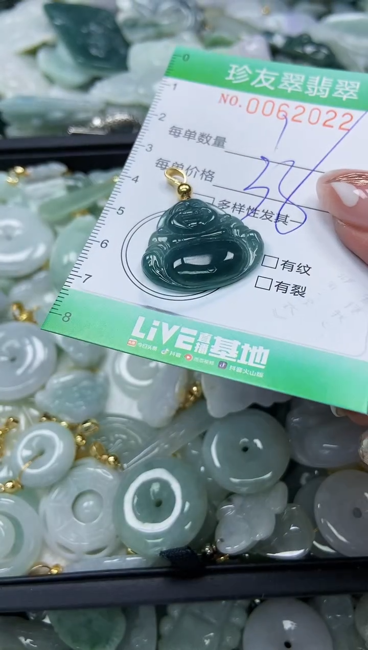 【闪购商品】翡翠颈饰未镶嵌闪购0062022