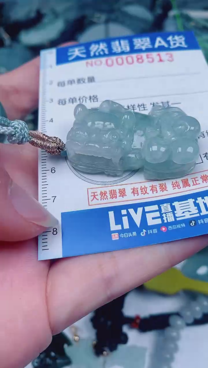 颈饰未镶嵌翡翠00008513