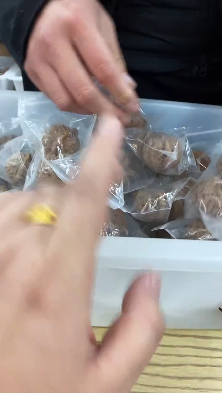 把件核桃【宫灯】福利练手宫灯