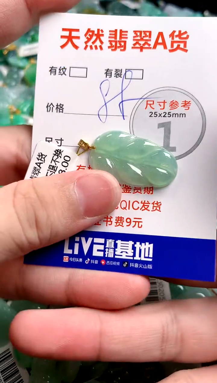 翡翠18K金镶嵌颈饰13002783