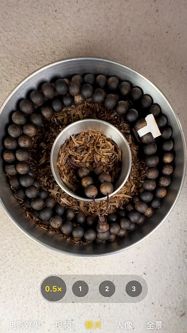 沉香手串7mm奇楠沉水多圈手串47