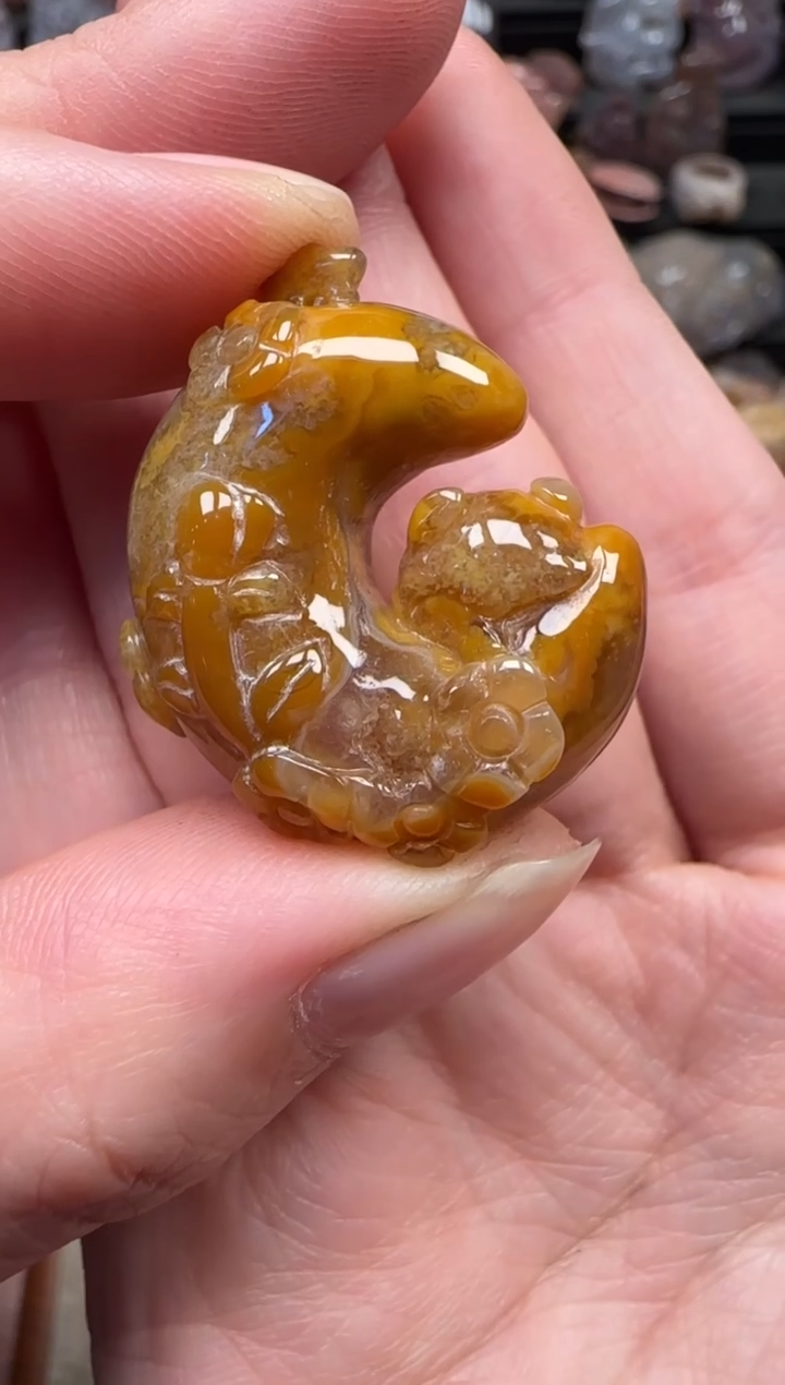 颈饰未镶嵌硅化珊瑚（珊瑚玉）651