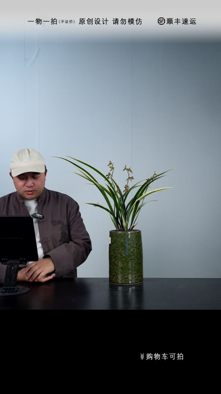 【闪购商品】035号链接【一物一拍】艺术盆景