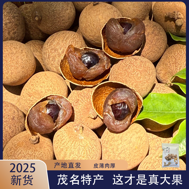 2025新货大果广东储良桂圆干1斤装龙眼皮薄肉厚龙眼干新鲜桂圆肉