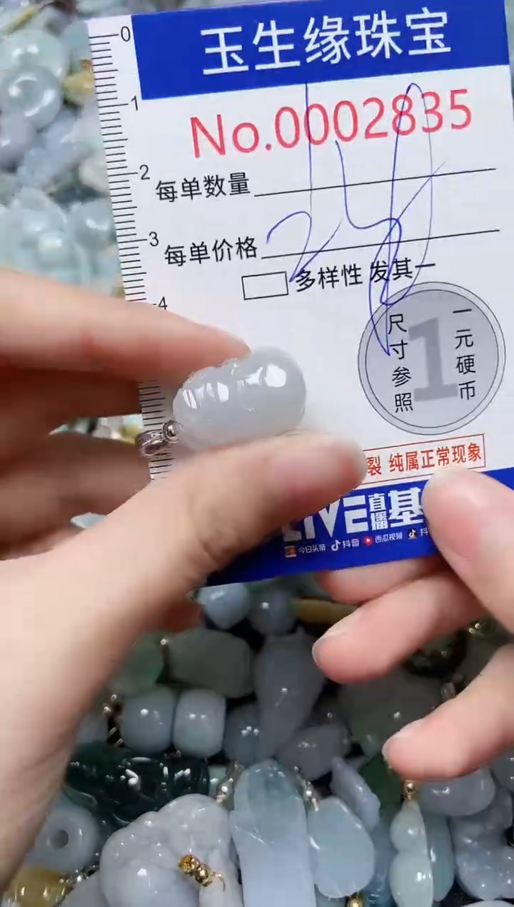 【闪购商品】翡翠颈饰未镶嵌闪购00002835