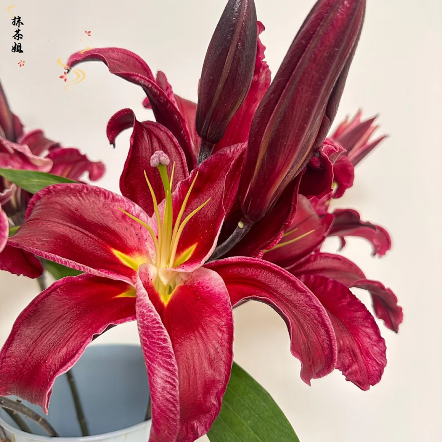黑珍珠 单瓣百合 两单顺丰冷链  一单普通快递