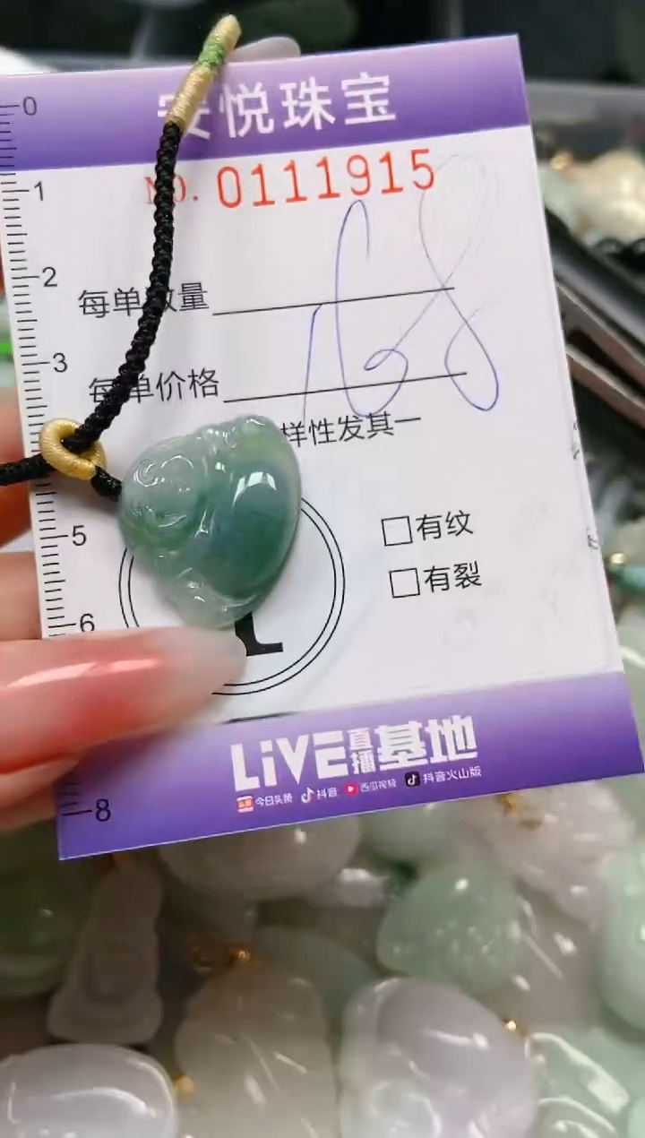 【闪购商品】翡翠颈饰未镶嵌闪购0111915