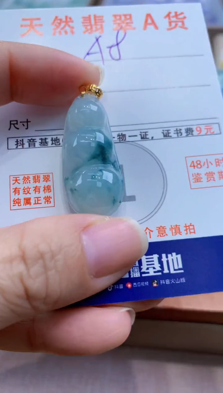 颈饰未镶嵌翡翠天然A货翡翠挂件