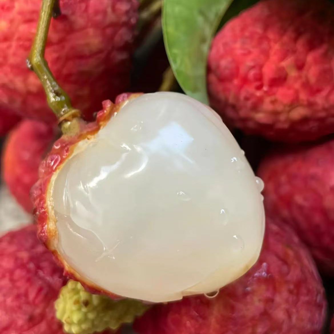 【到手一箱3斤次日达】妃子笑白糖罂荔枝新鲜采摘现货直发包邮到家次日达广东省3广东省