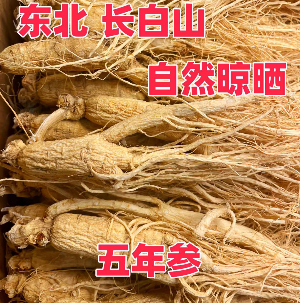 人参长白山人参生晒参白人参全须泡酒煲汤炖菜东北特产干人参批发