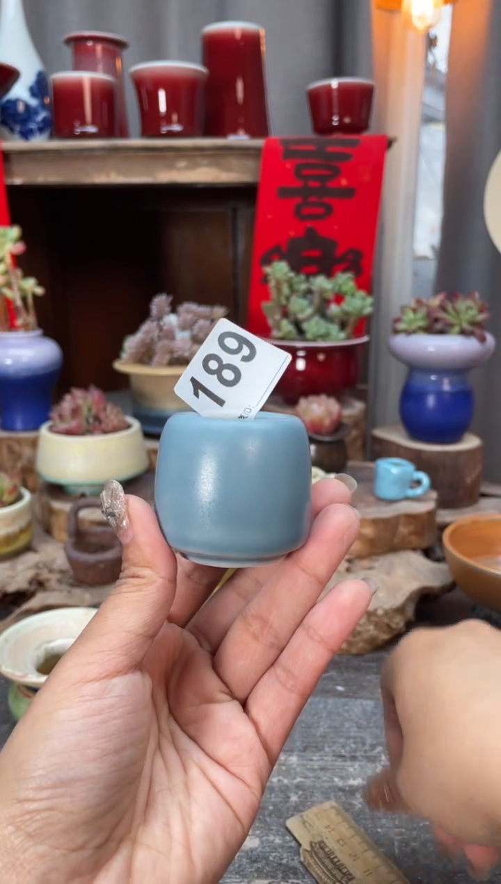【闪购商品】摆件189知木小芳花盆