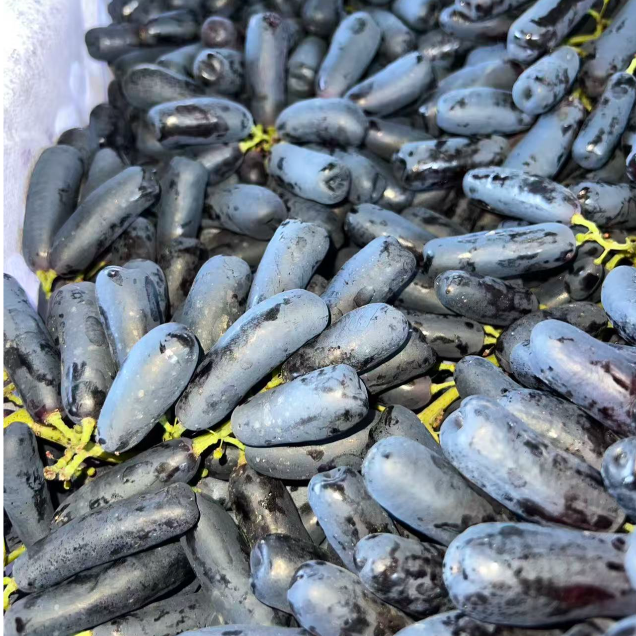 蓝宝石无籽葡萄顺丰包邮新鲜当季水果大喜果蔬花果无缺蓝莓西梅