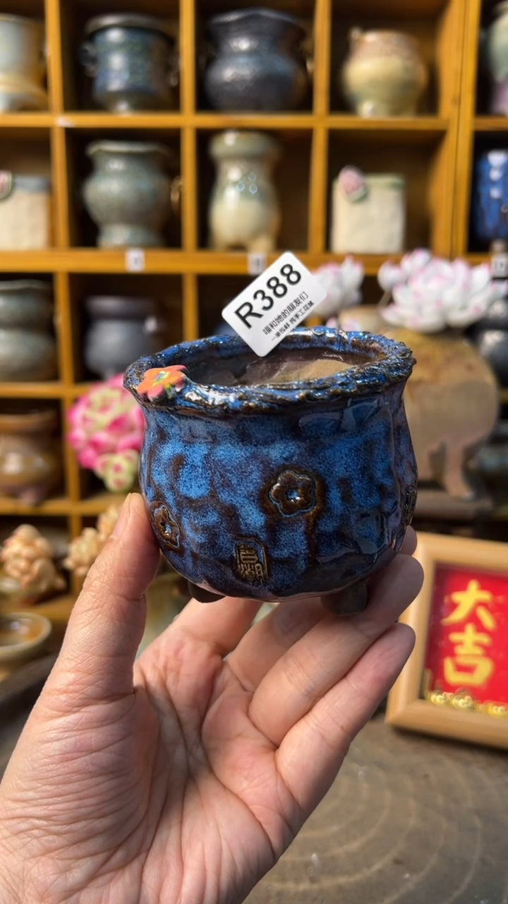 388 内口6.5【多肉花盆多肉盆】