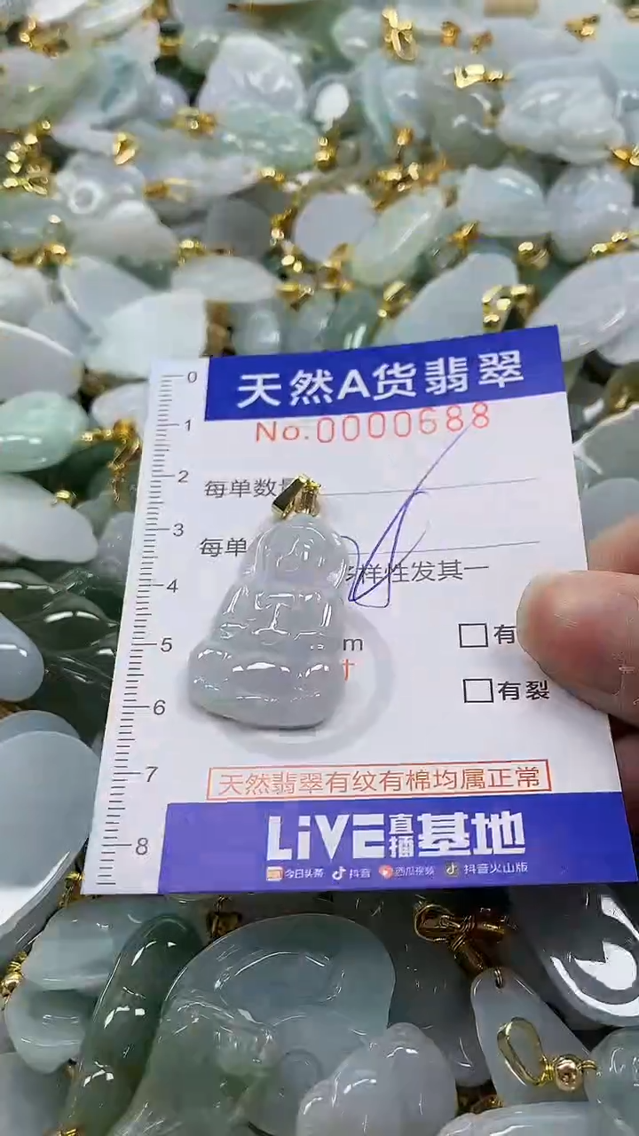 颈饰未镶嵌翡翠纯天然a货翡翠