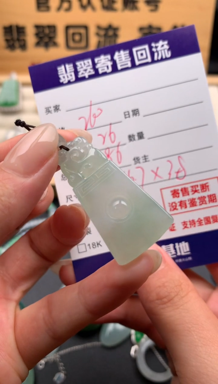 翡翠未镶嵌颈饰10133386