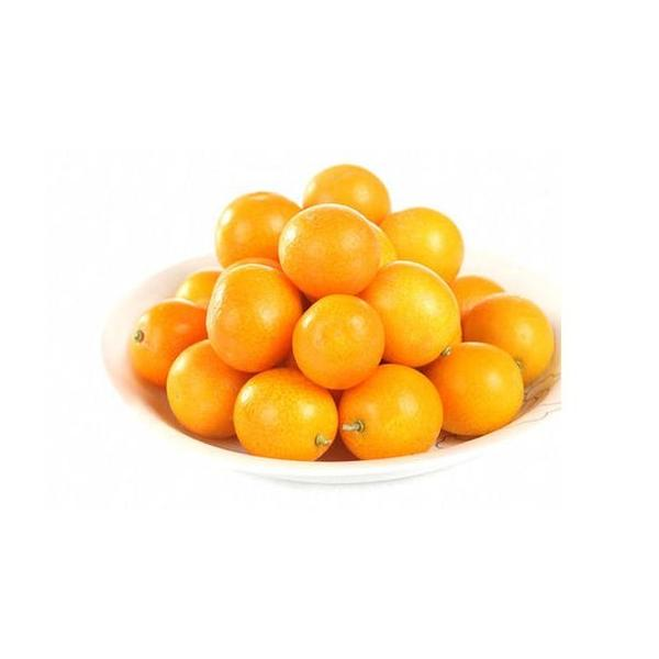 甘甜金桔大果约 500g