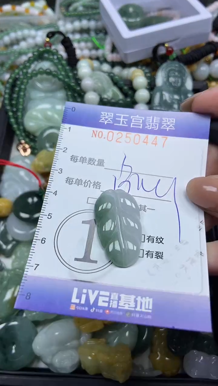 颈饰未镶嵌翡翠闪购C0250447