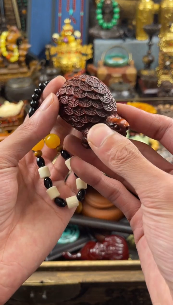 11小七甄选所见所得