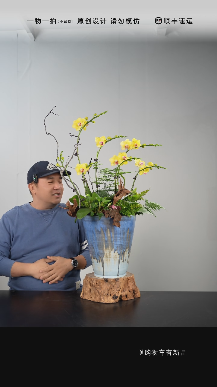 【闪购商品】023号链接【一物一拍】艺术盆景