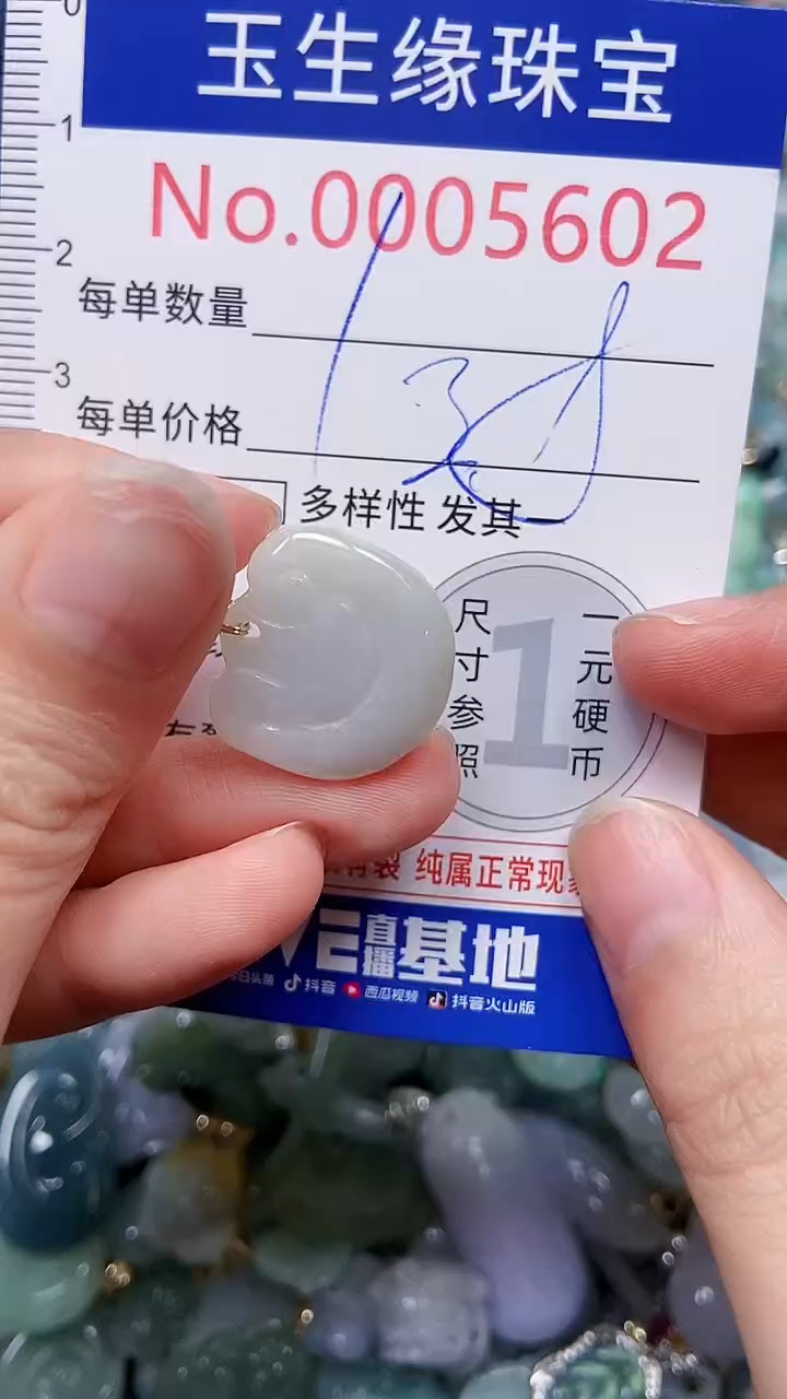 【闪购商品】翡翠颈饰未镶嵌闪购00005602