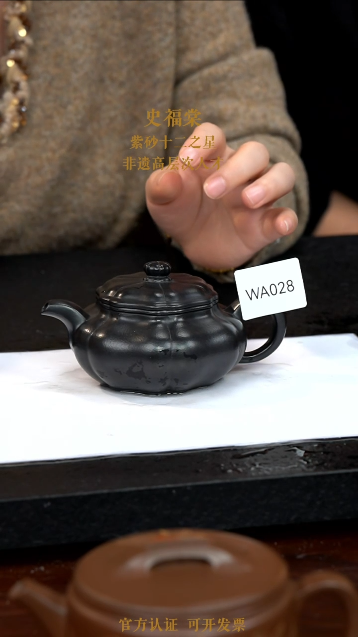 【闪购商品】紫砂茶壶WA028-0113TFS