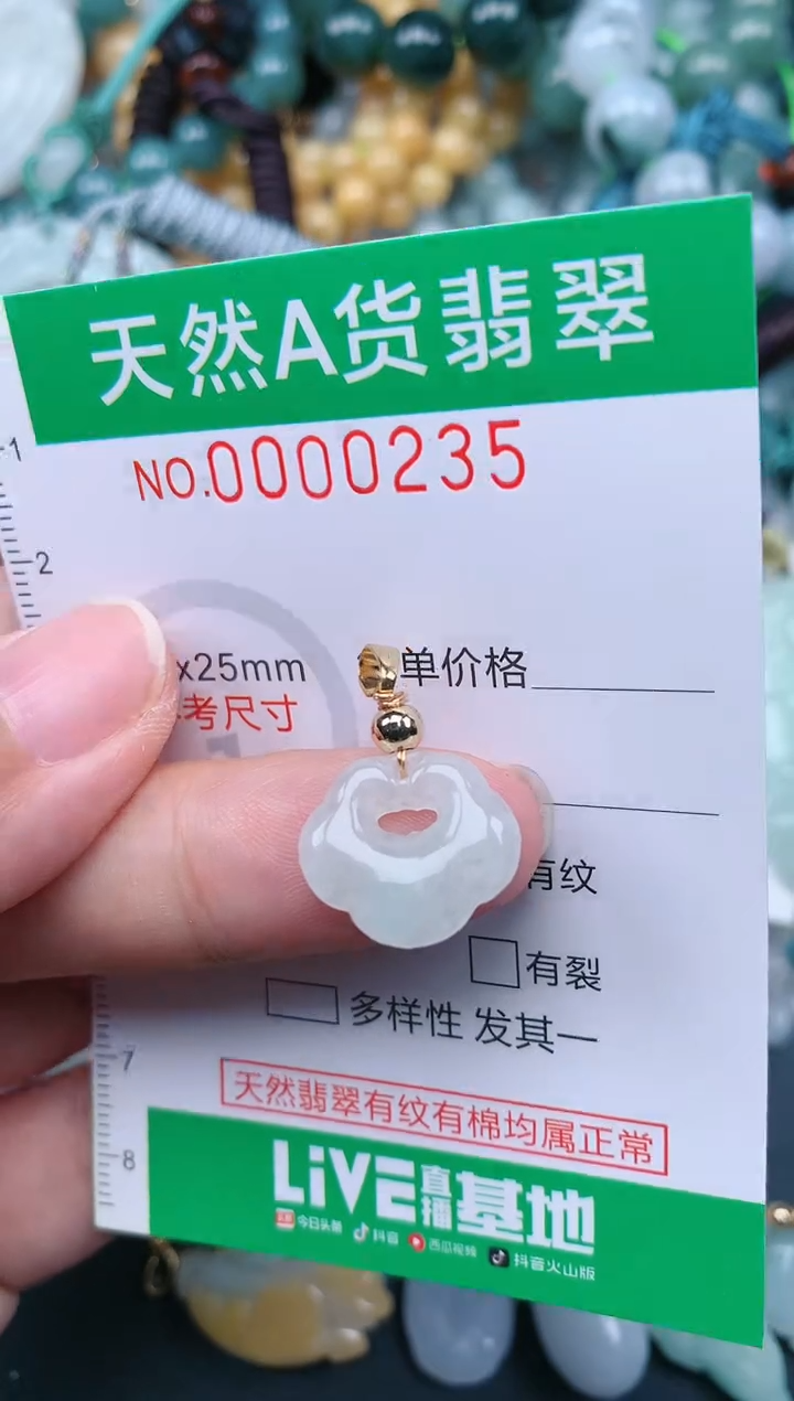 翡翠未镶嵌颈饰.0000235