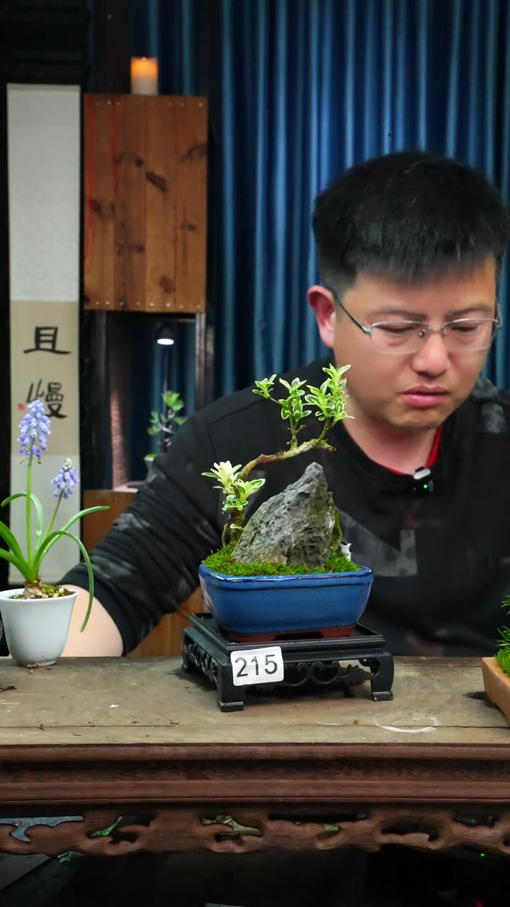 【闪购商品】苔藓微景观215号