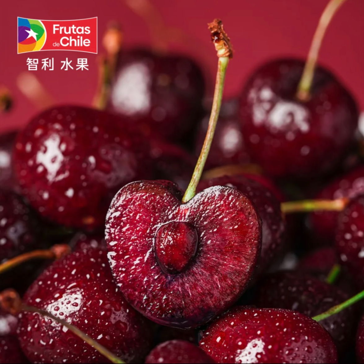 A智利进口海运拉宾斯车厘子J-4J 5斤装/顺丰京东 内附果径卡