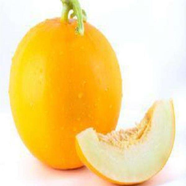 金蜜瓜500g推广价哈密瓜