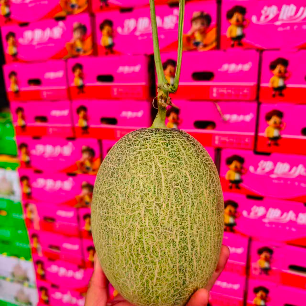 哈密瓜一个15元