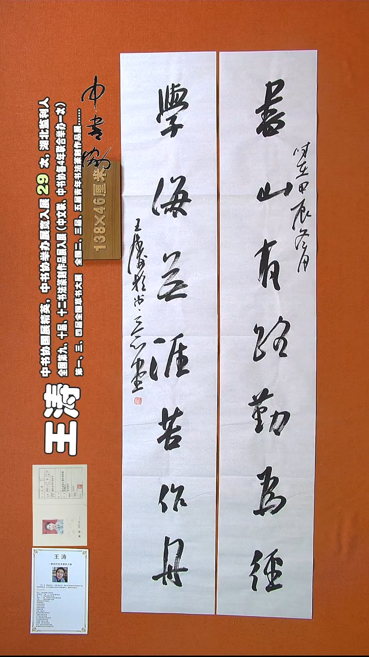【闪购商品】书法341王涛书法作品