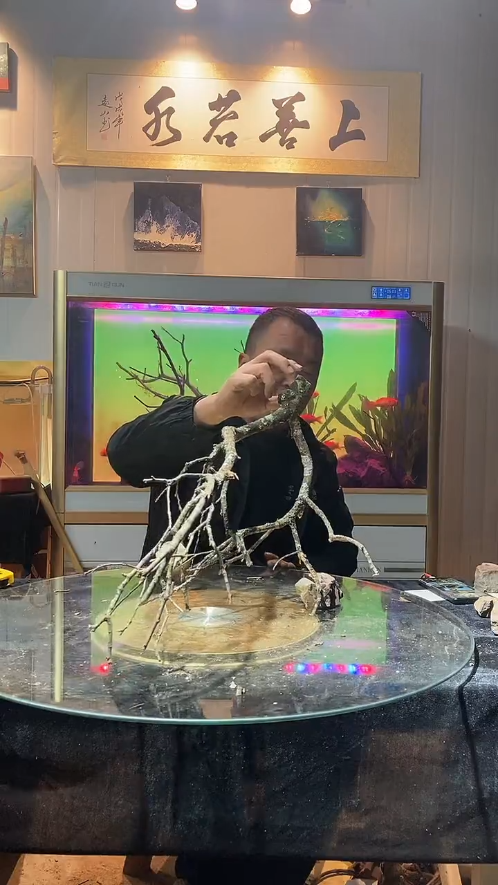 143号天然黄栎木