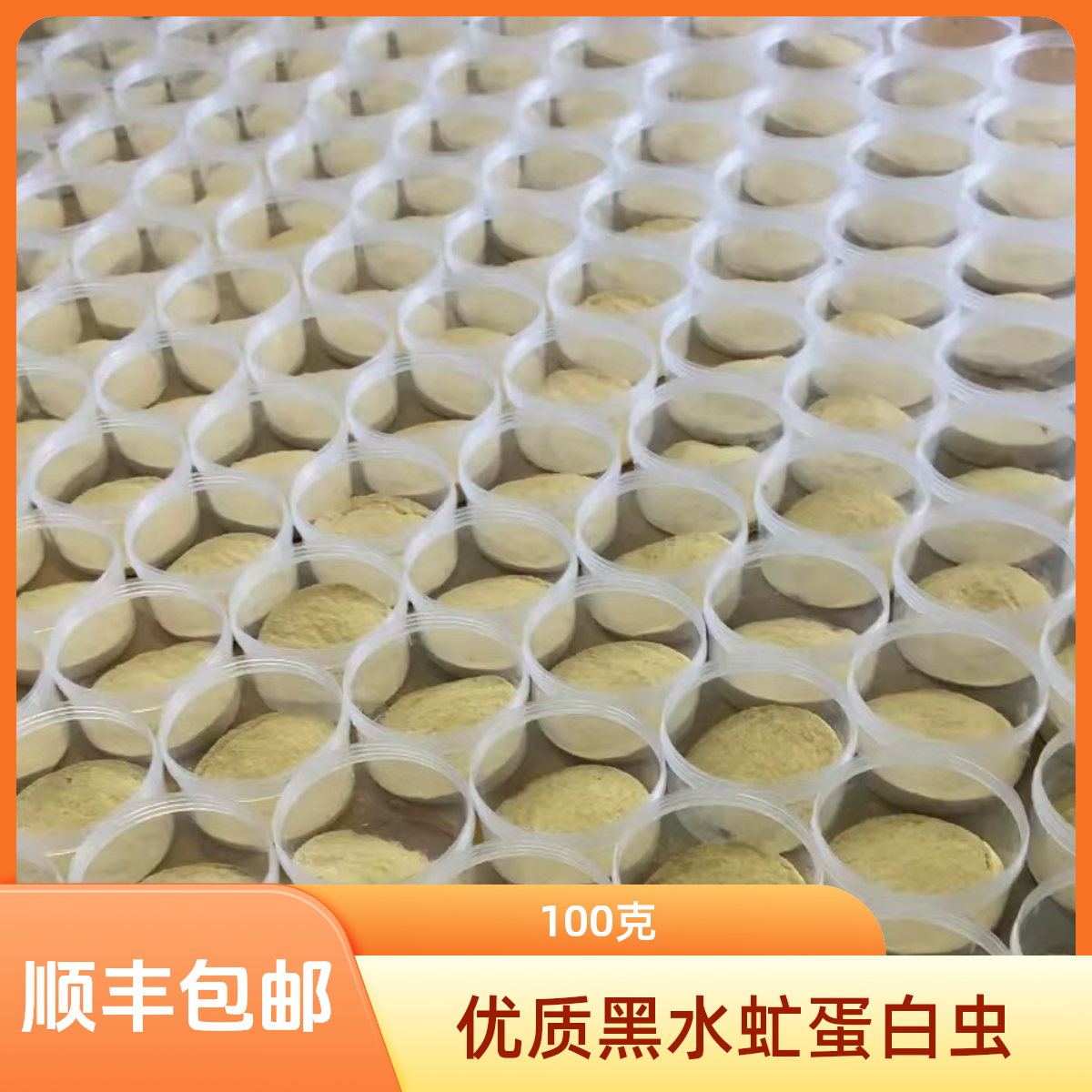 黑水虻蛋白虫100克