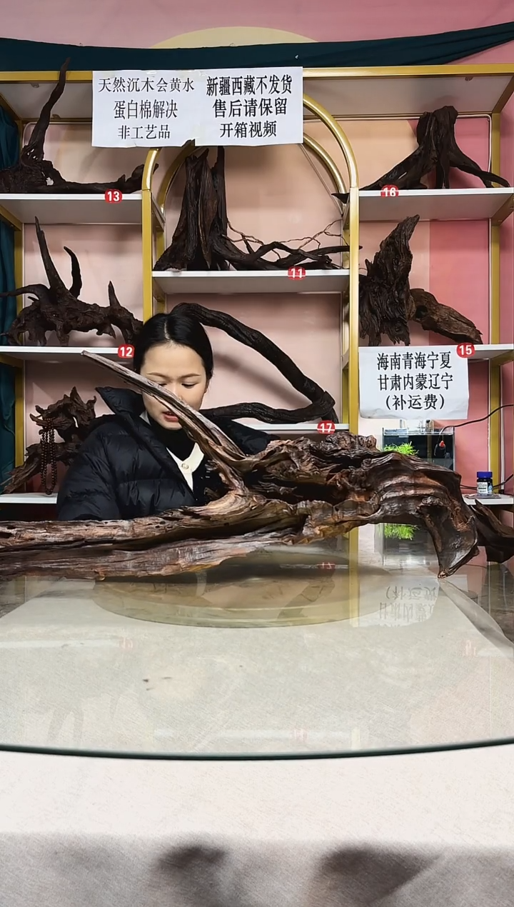 路***甲鱼缸造景沉木A870