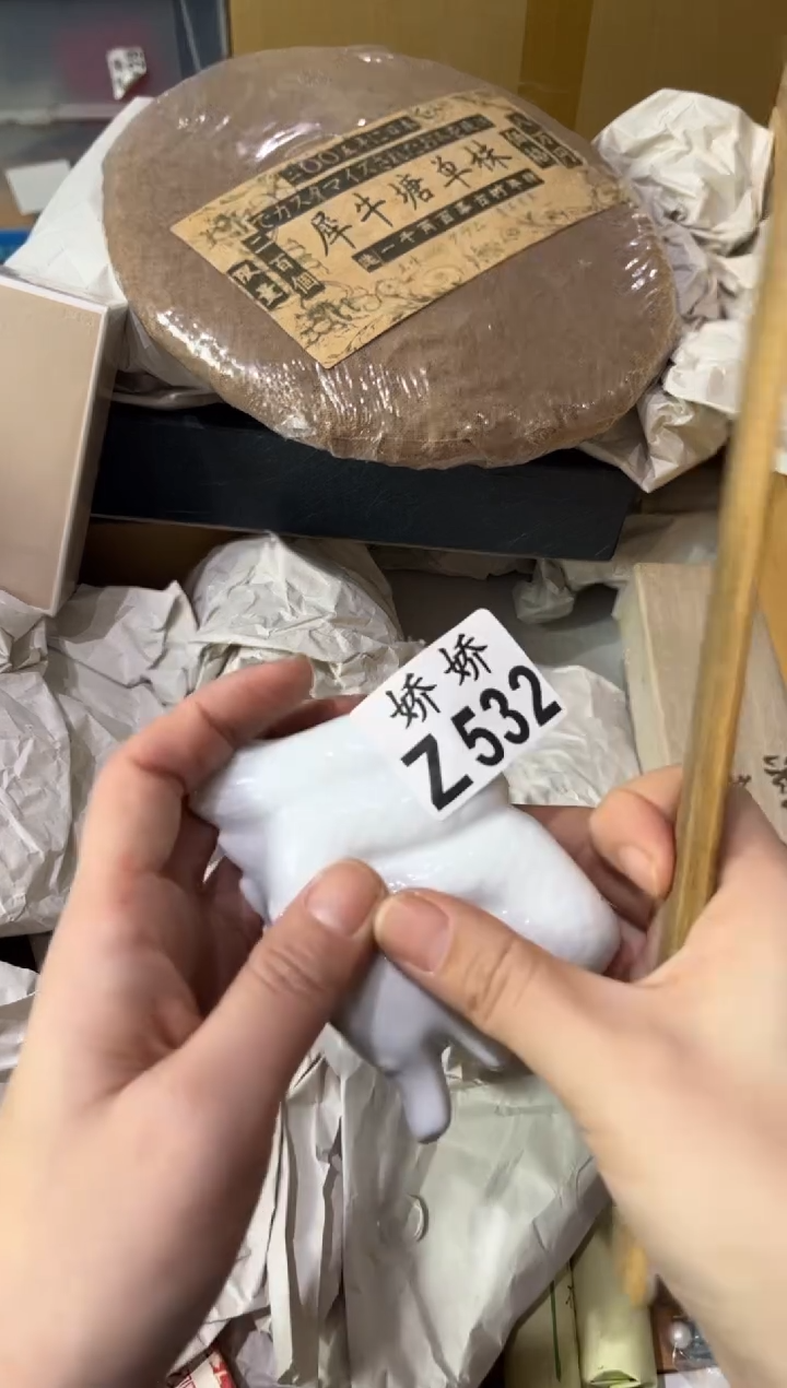 瓷片惨***.532定向 惨绿少年.