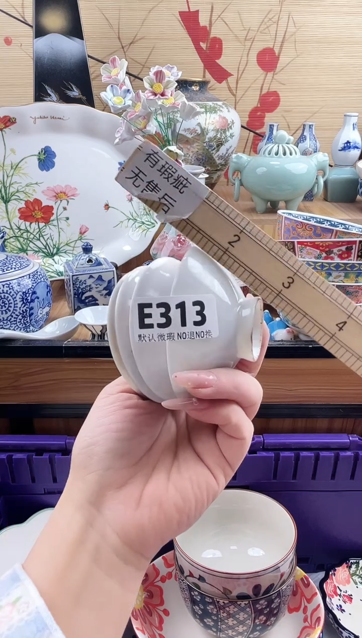 g*==============e313