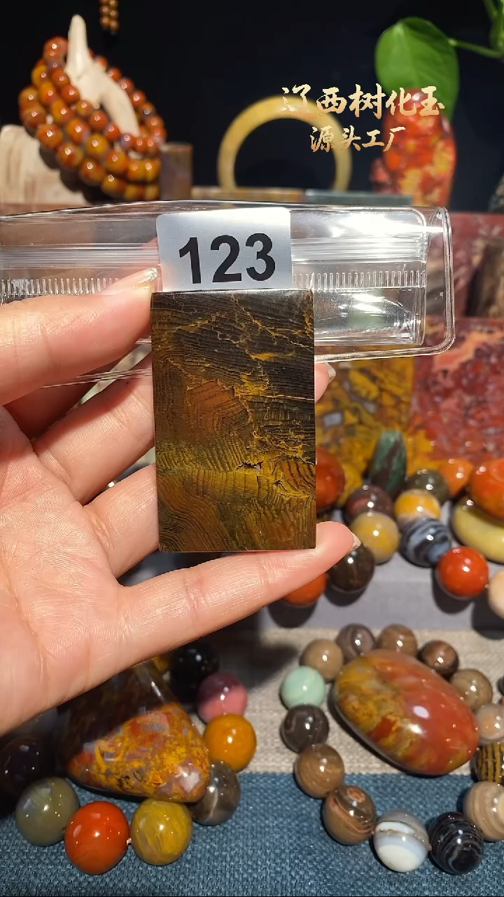 未镶嵌-硅化玉天然北票硅化玉吊坠