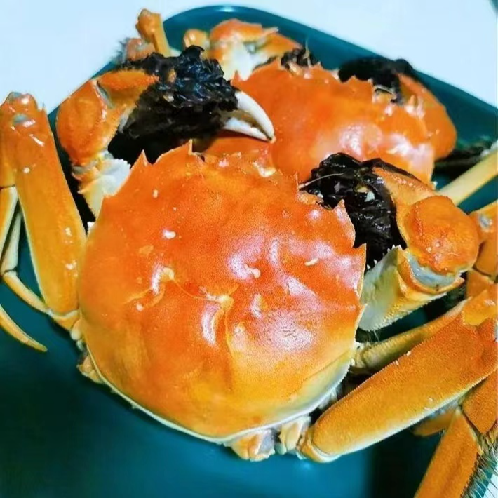 [活蟹]母蟹.单只3.0两--3.3两每公斤6-7只