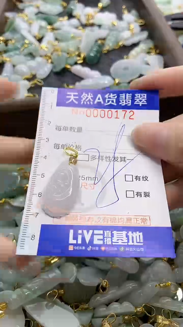 颈饰未镶嵌翡翠天然A货翡翠