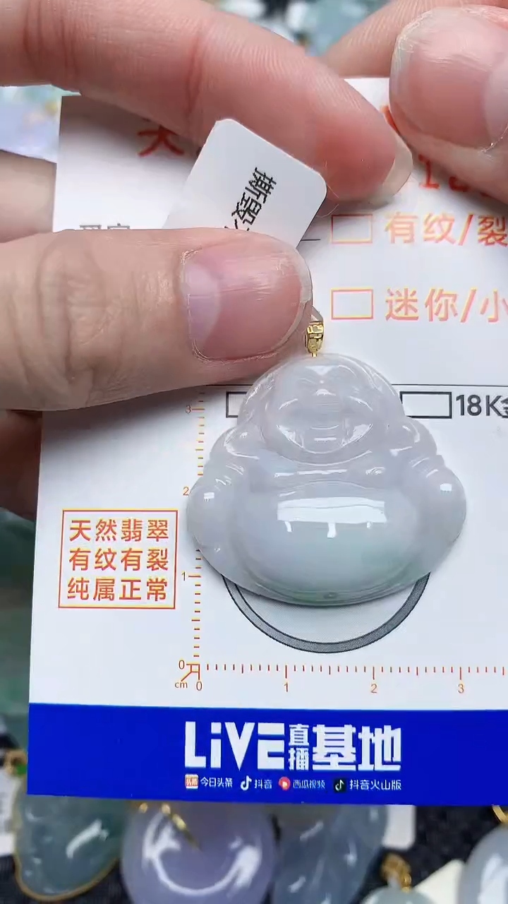 【闪购商品】翡翠颈饰未镶嵌45345345345
