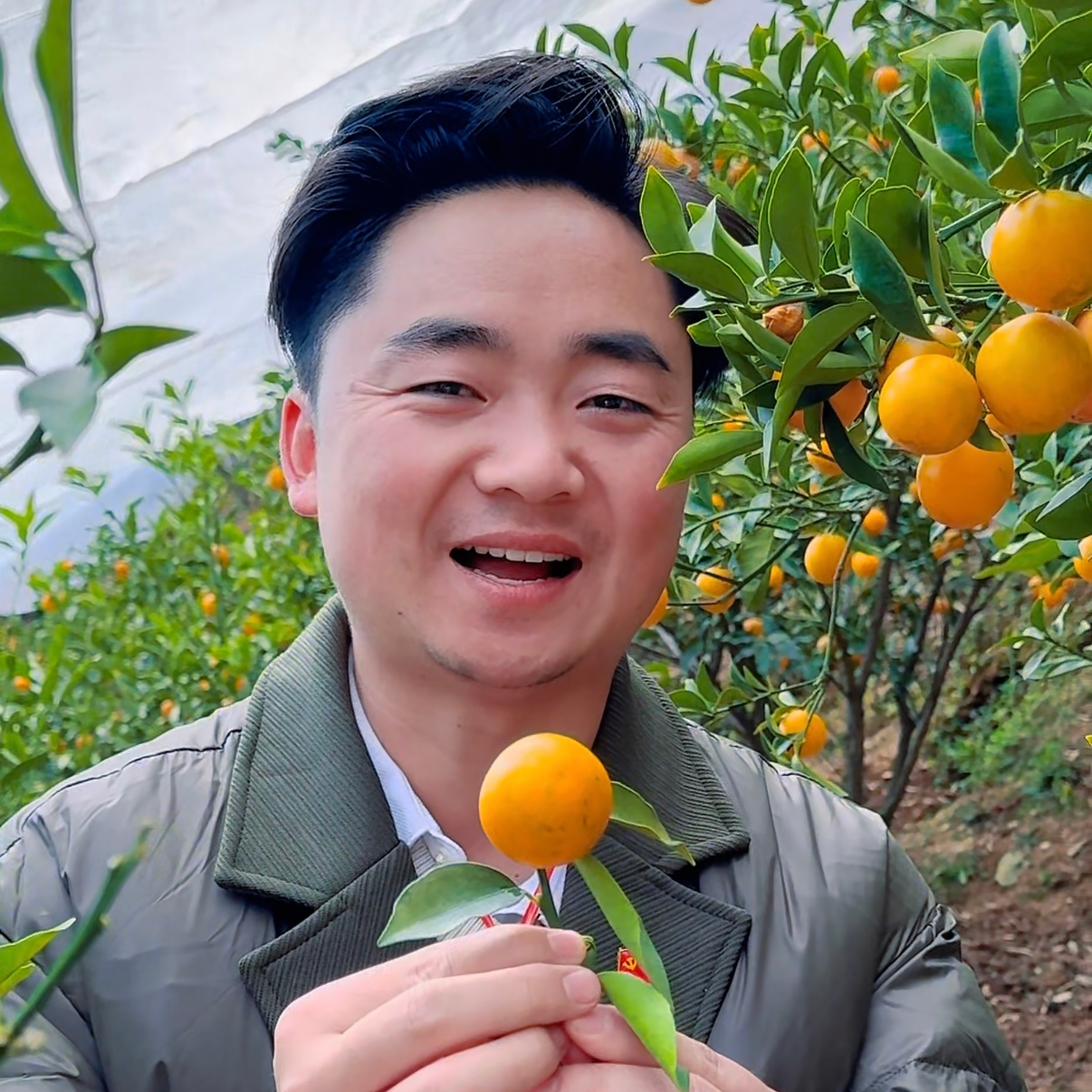 【杨支书助农】大凉山脆蜜金桔脆甜多汁自然成熟不套袋不催熟顺丰