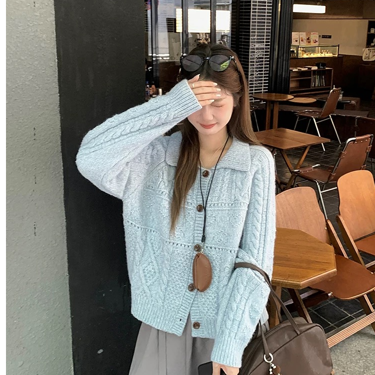 2025女装秋季新款复古宽松显瘦麻花翻领单针织开衫长袖毛衣外套