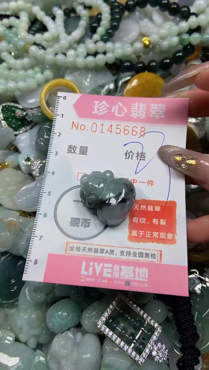 【闪购商品】翡翠颈饰未镶嵌闪购0145668