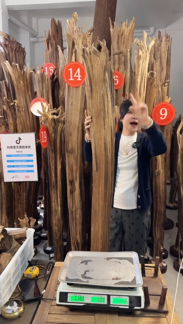 【闪购商品】沉香摆件沉香摆件多样性发一件