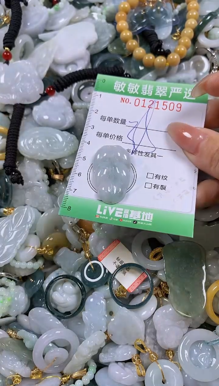 【闪购商品】翡翠颈饰未镶嵌闪购0121509