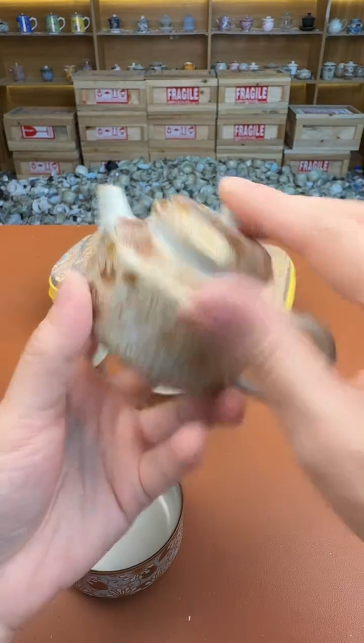 旅行111111111111111