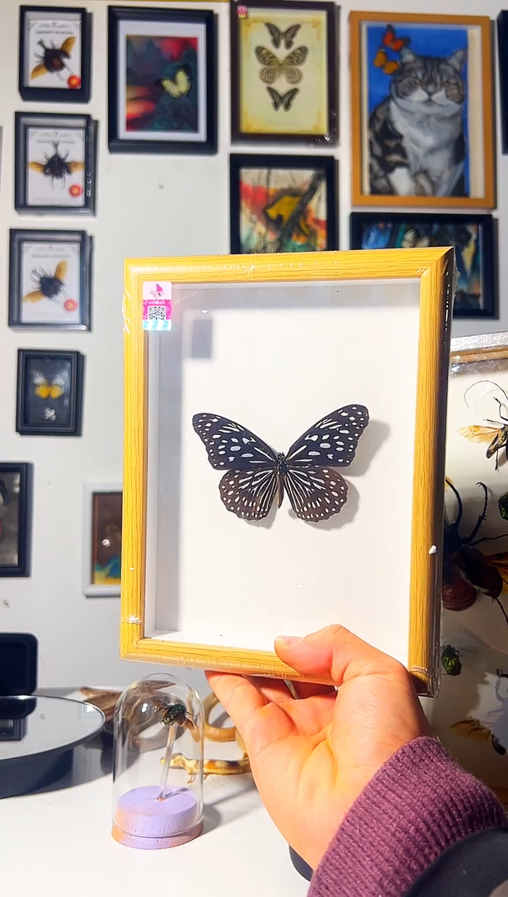 有机玻璃6548946498