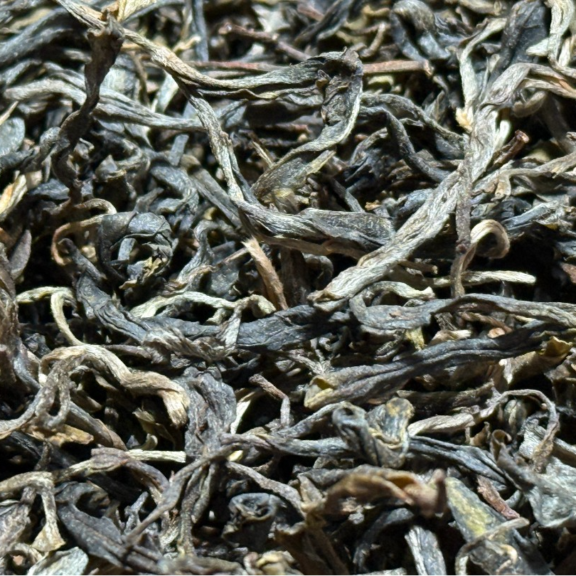 【福利】2025年正气塘古树 头春头采 普洱茶 生茶  散茶  200g