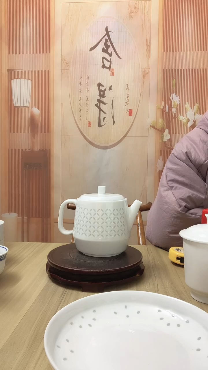 白瓷玲珑侧把茶壶 1把