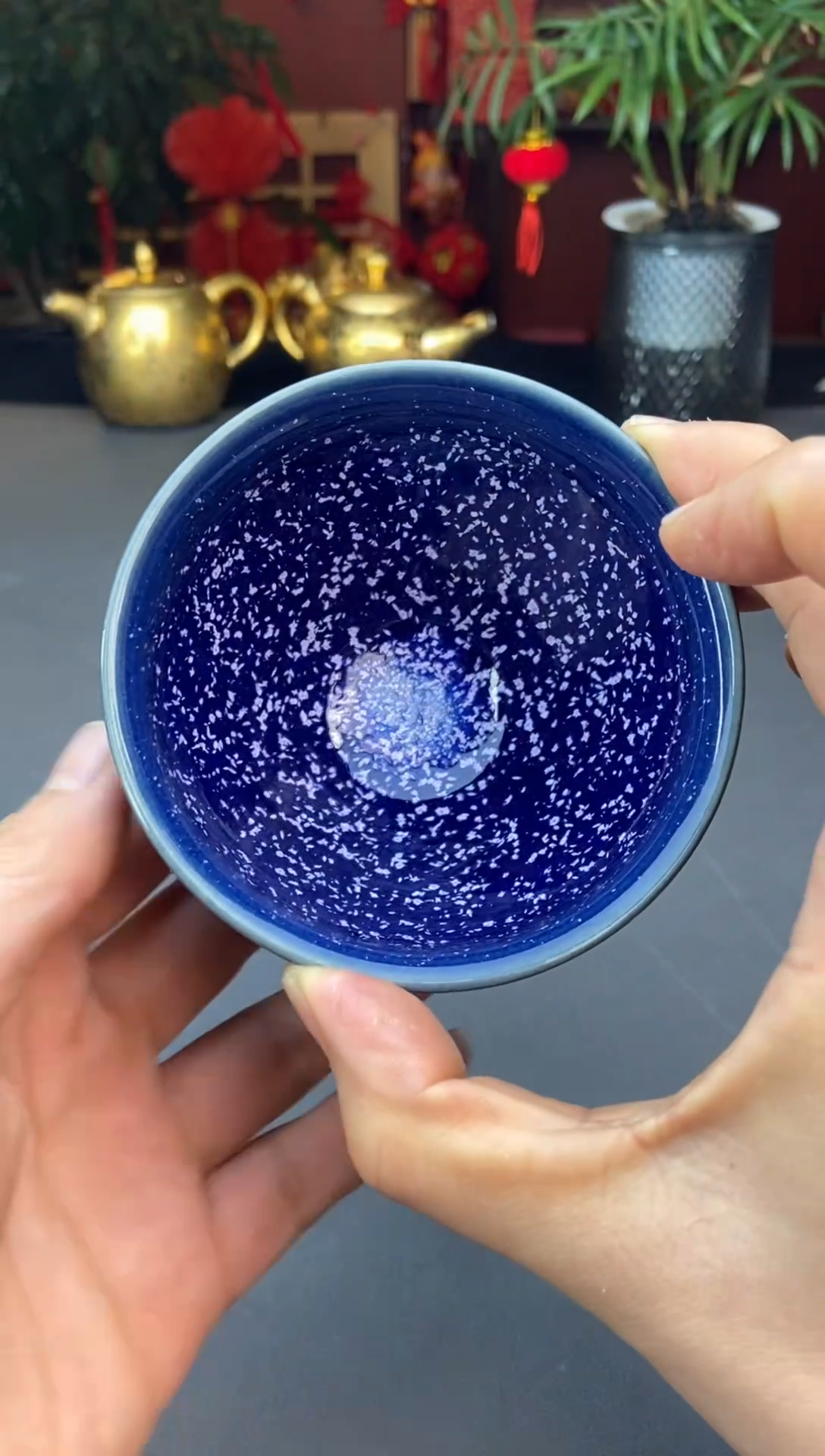 【闪购商品】茶盏@@@@88888888截图为准